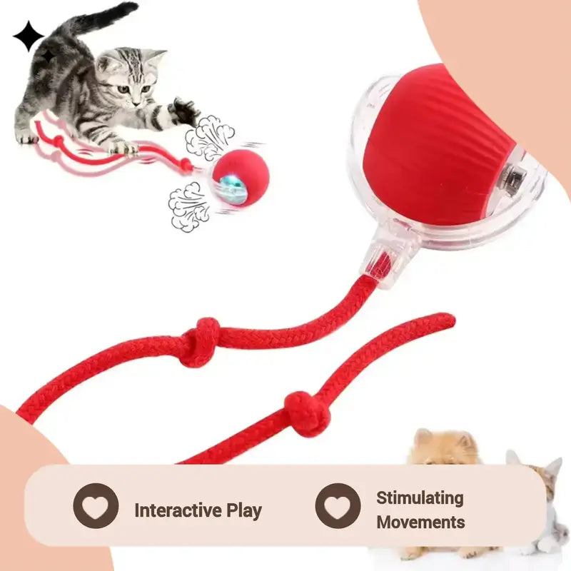 ✨HOT SALE 70% OFF✨🎄50K+；Pet Interactive Dog Ball