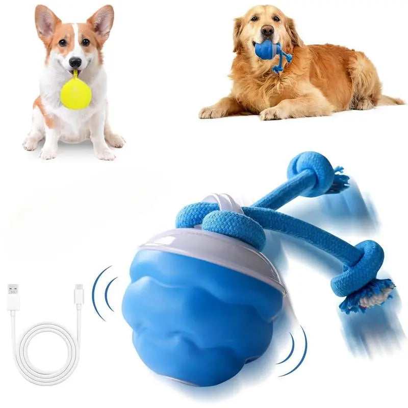 ✨HOT SALE 70% OFF✨🎄50K+；Pet Interactive Dog Ball